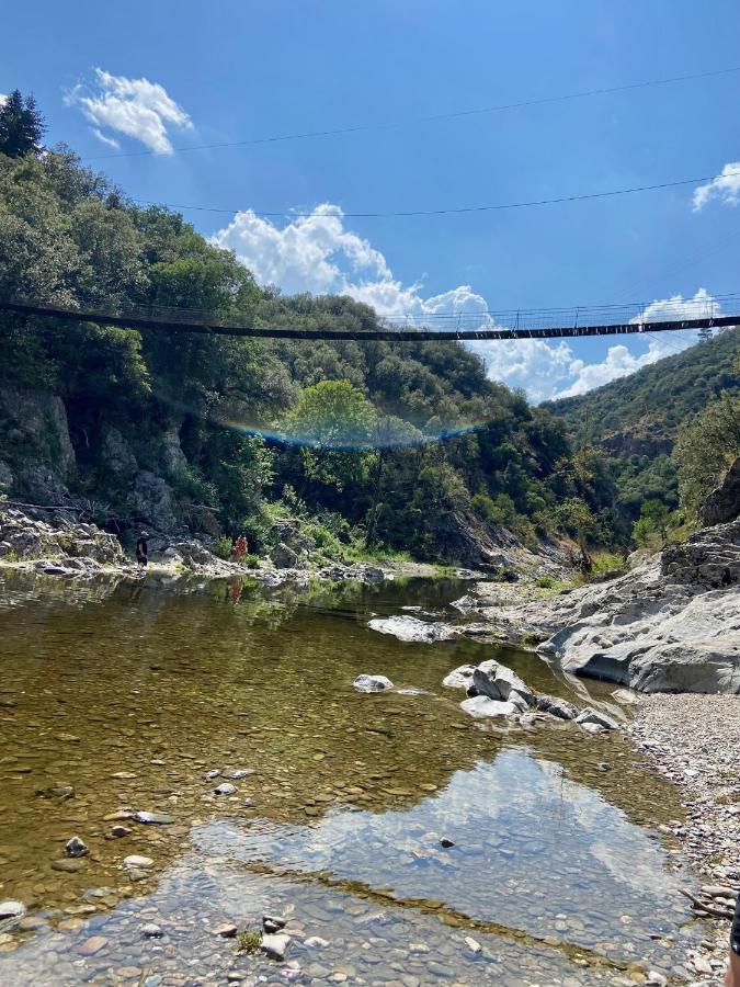 La Frigoule, Un Gite Au Coeur Du Parc Des Cevennes Generargues Екстериор снимка